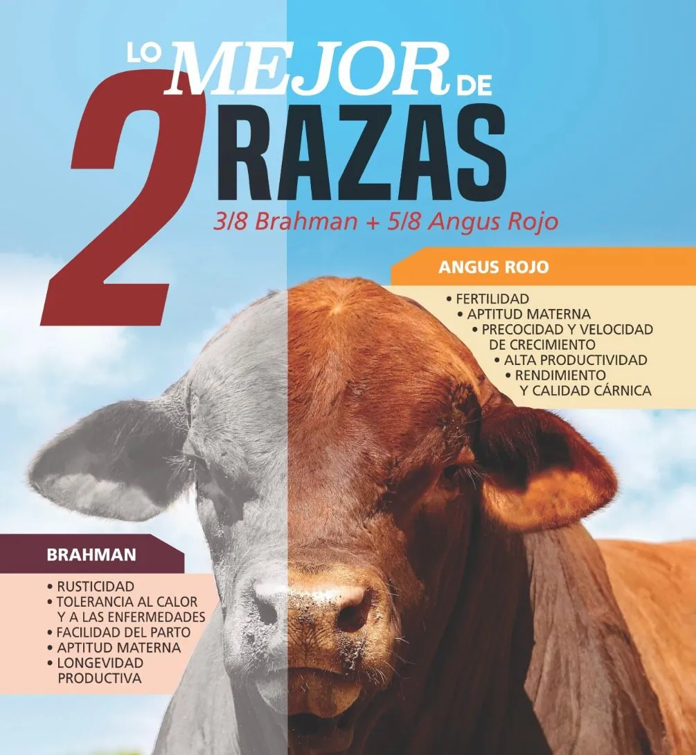 Variedades de Razas 3